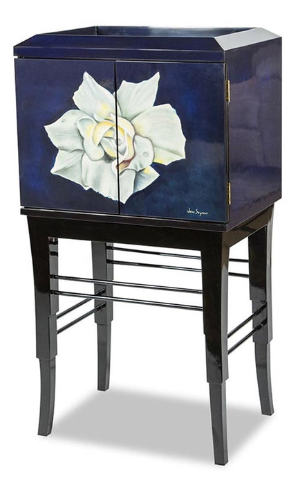 Furniture Illusions 2 Door Cabinet
