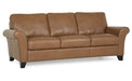 Palliser Furniture Rosebank Leather Loveseat 77429-03 image
