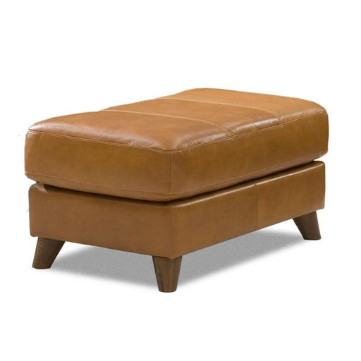 Palliser Alula Rectangular Ottoman 77427-74 image